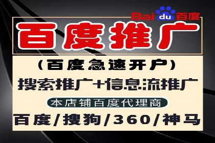 揭秘百度竞价代理：实战案例分析